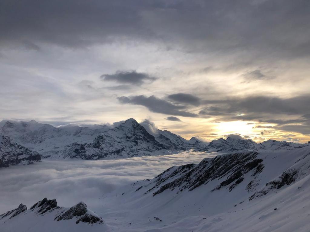 Chalet Caramelle Гриндельвальд Экстерьер фото