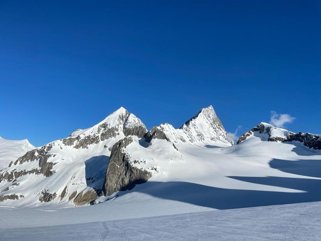 Chalet Caramelle Гриндельвальд Экстерьер фото
